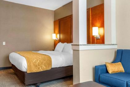 Comfort Suites Canal Park - image 9