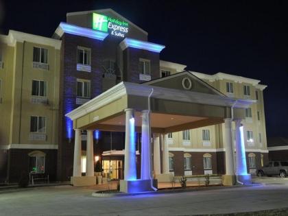 Holiday Inn Express Hotel  Suites Dumas