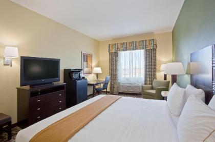 Holiday Inn Express Hotel & Suites Dumas - image 6