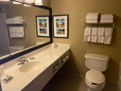Country Inn & Suites by Radisson Dundee MI - image 11