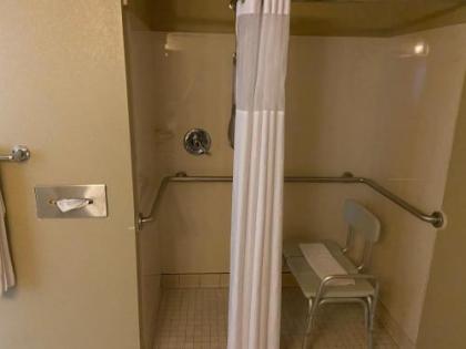 Country Inn & Suites by Radisson Dundee MI - image 8