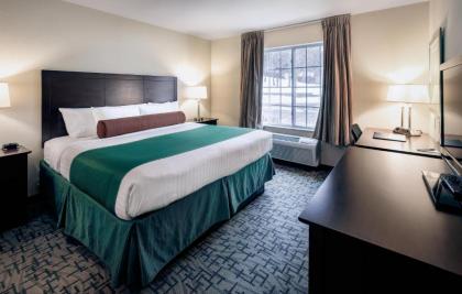 Cobblestone Inn & Suites - Durand - image 9