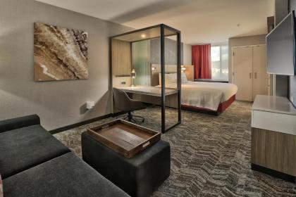 Springhill Suites by Marriott Durango - image 6