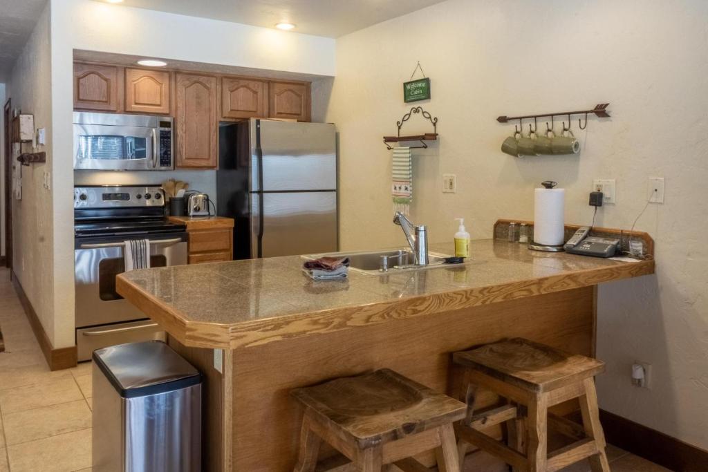 Tamarron HighPoint - 584 - image 4