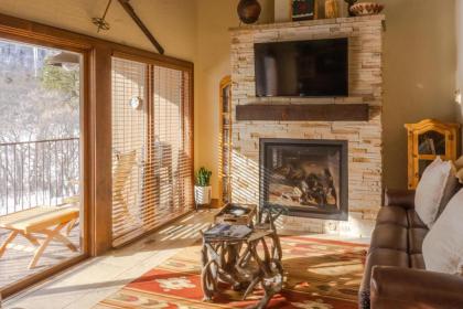 Tamarron HighPoint - 584 - image 7
