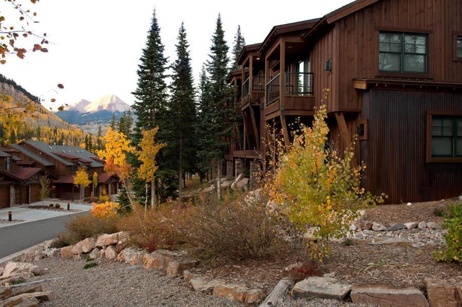 Black Bear 70 - image 2