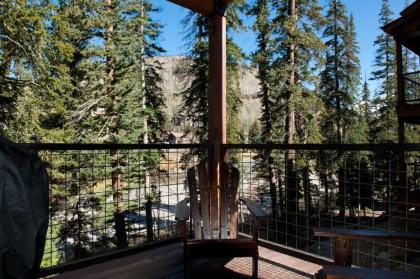 Black Bear 86 - image 7