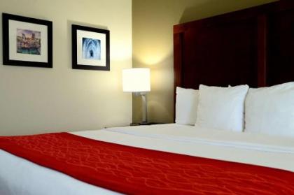 Comfort Inn University Durham – Chapel Hill - image 3