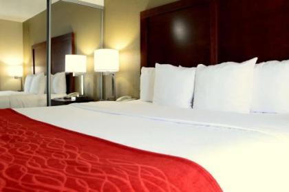 Comfort Inn University Durham – Chapel Hill - image 5