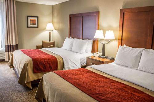 Comfort Inn Research Triangle Park - image 4