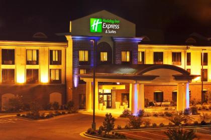 Holiday Inn Express & Suites Dyersburg an IHG Hotel - image 12