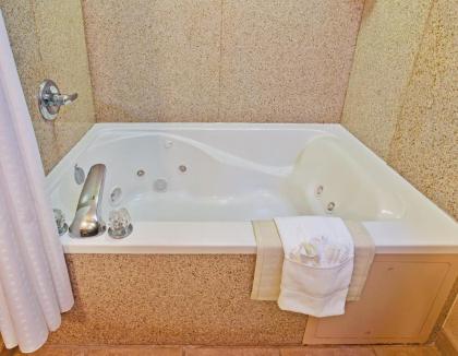 Holiday Inn Express & Suites Dyersburg an IHG Hotel - image 13