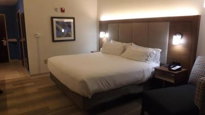 Holiday Inn Express & Suites Dyersburg an IHG Hotel - image 3