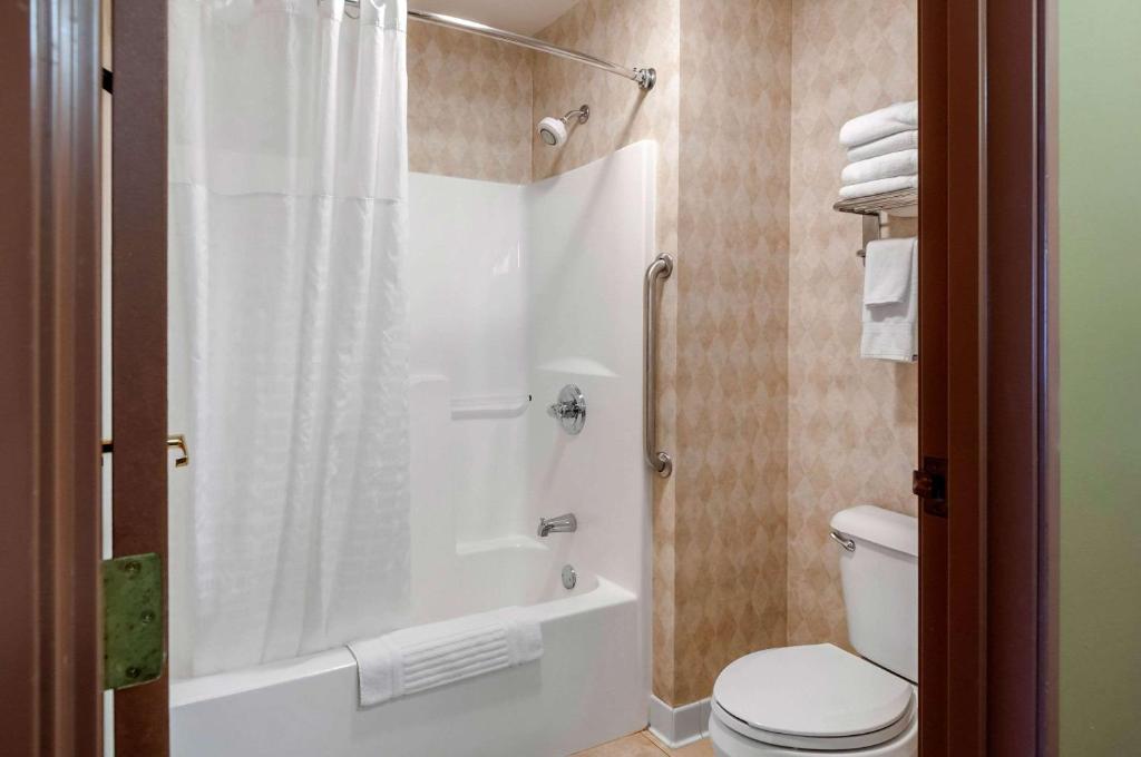 Comfort Inn Dyersville Iowa - image 2