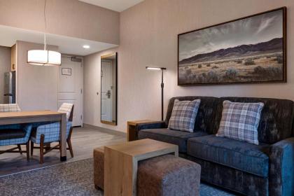 Homewood Suites By Hilton Eagle Boise Id - image 3