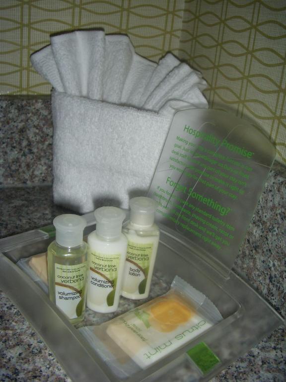 Holiday Inn St. Louis Airport West Earth City an IHG Hotel - image 2