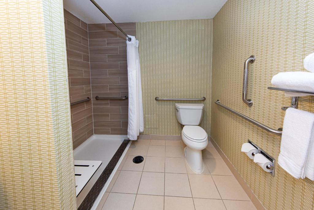 Holiday Inn St. Louis Airport West Earth City an IHG Hotel - image 7