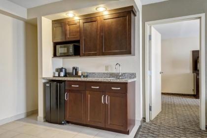 Holiday Inn St. Louis Airport West Earth City an IHG Hotel - image 9