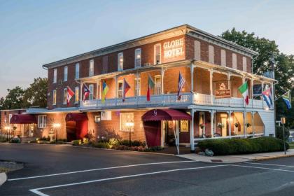 The Globe Inn - image 5