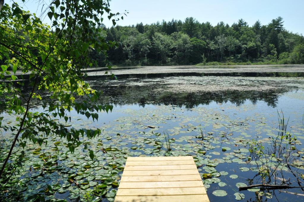 Tuxbury Pond Camping Resort Tiny House Riley - image 3
