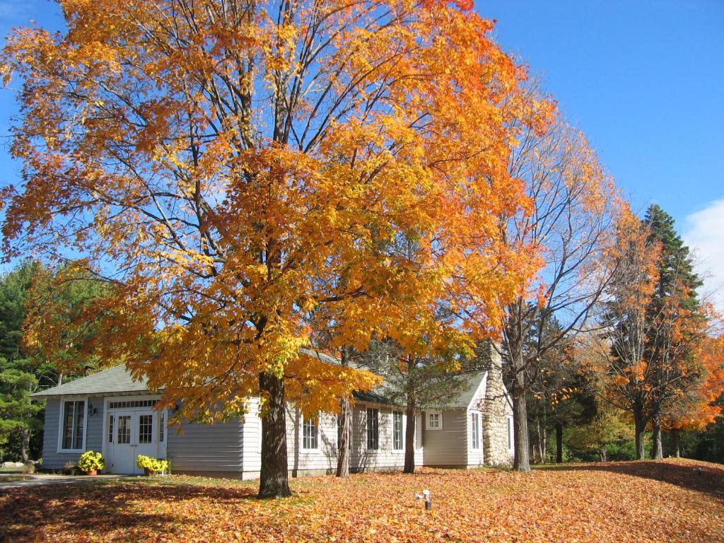 Tuxbury Pond Camping Resort Tiny House Riley - image 5