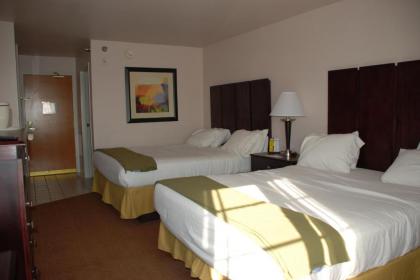 Holiday Inn Express Hotel & Suites East Lansing an IHG Hotel - image 8