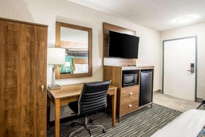 Clarion Pointe East Lansing University Area - image 5