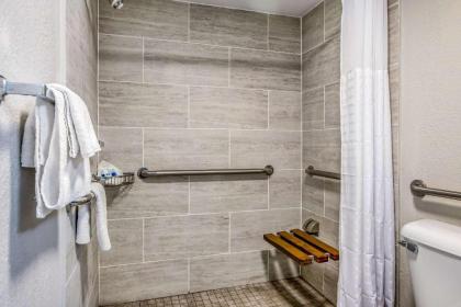 Clarion Pointe East Lansing University Area - image 9