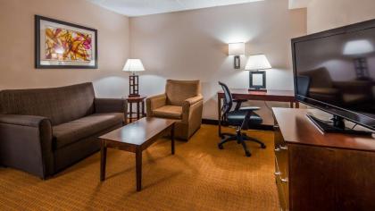 Best Western Plus Arbour Inn and Suites - image 10