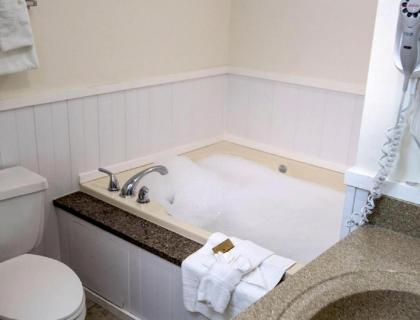 Vacation Resort Villas in the Beautiful Pocono Mountains - image 14