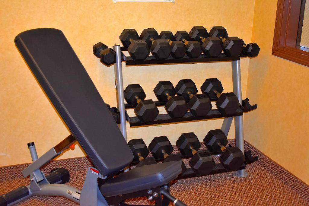 Holiday Inn Express Hotel & Suites Dewitt - Syracuse an IHG Hotel - image 5