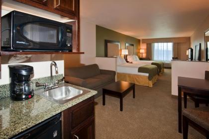 Holiday Inn Express Hotel & Suites Dewitt - Syracuse an IHG Hotel - image 8