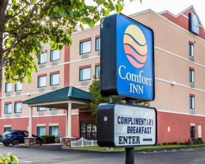 Comfort Inn East Windsor - Springfield - image 3