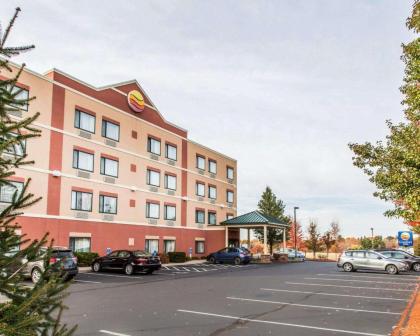 Comfort Inn East Windsor - Springfield - image 4