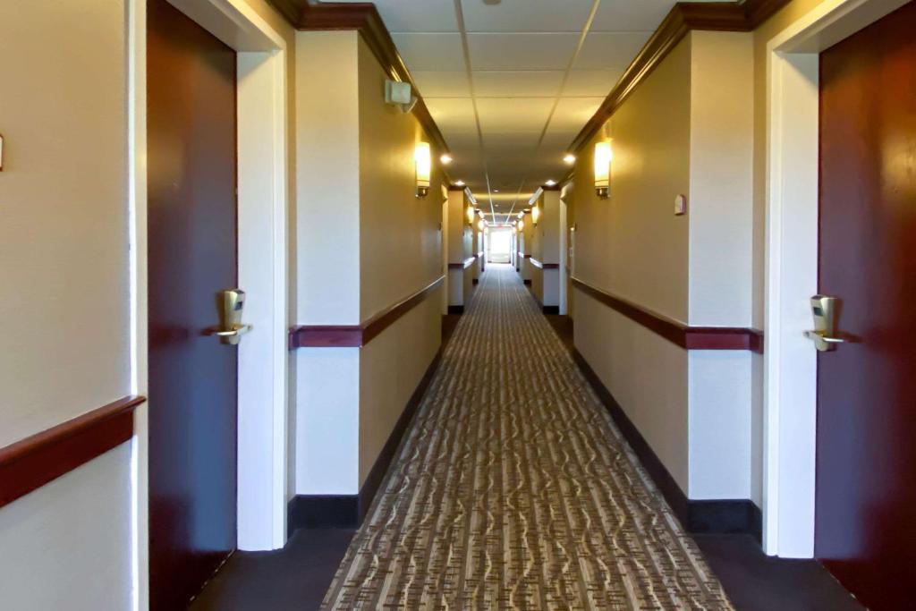 Comfort Inn East Windsor - Springfield - image 5