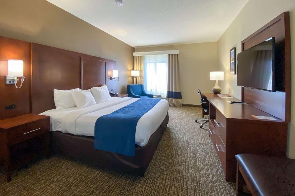 Comfort Inn East Windsor - Springfield - image 6