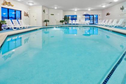 Holiday Inn Express Hotel & Suites Easton an IHG Hotel - image 3