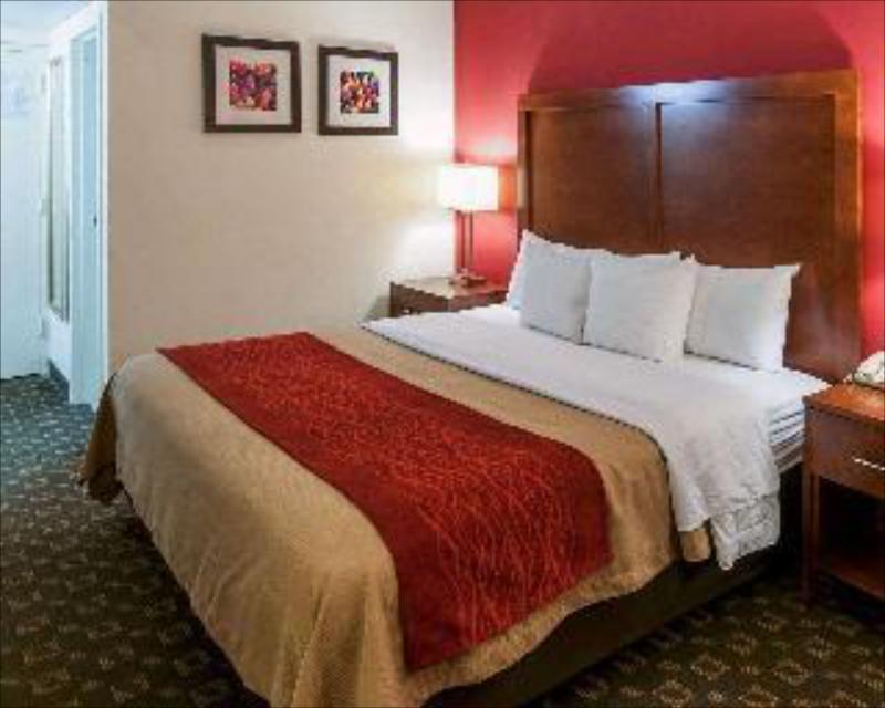 Red Roof Inn Easton - image 2