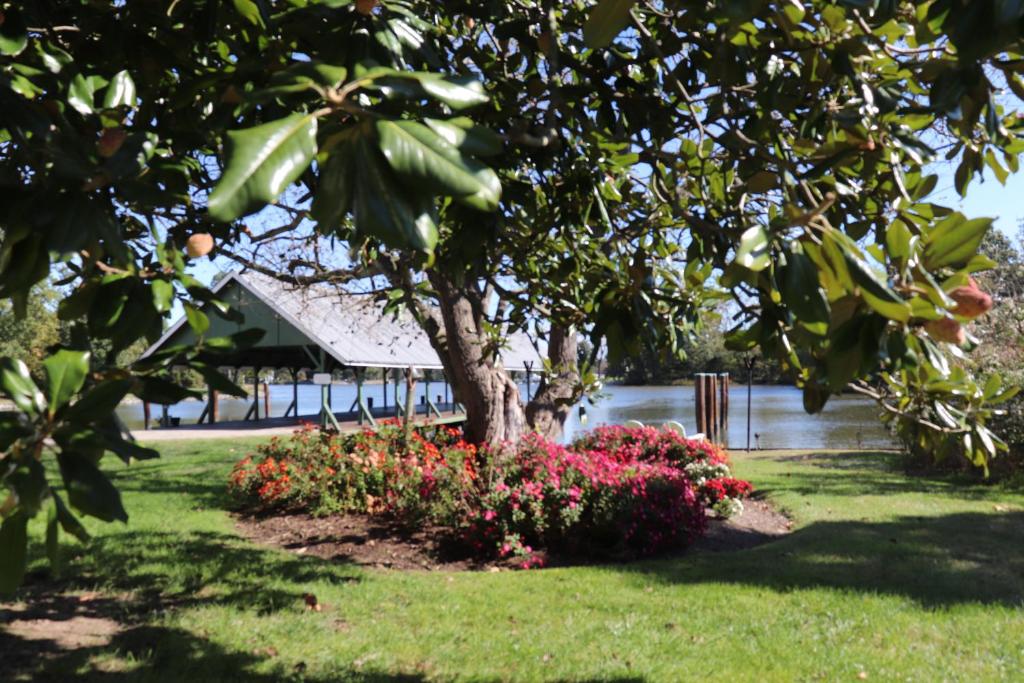 The Oaks Waterfront Inn - image 6