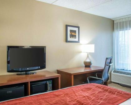 Comfort Inn Eden Prairie - Minneapolis - image 12