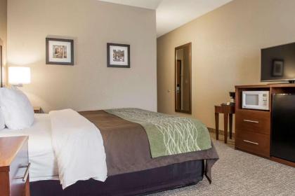 Comfort Inn Edinburg South Texas