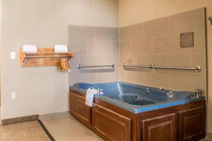Comfort Inn Edinburg South - image 14