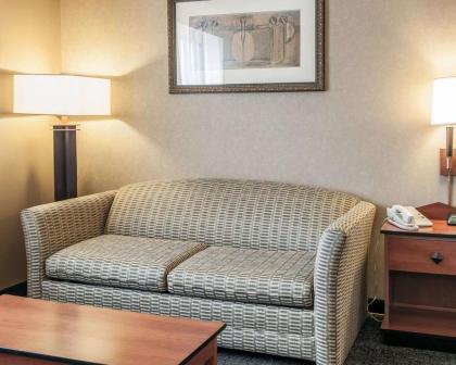 Comfort Inn Near Indiana Premium Outlets - image 10