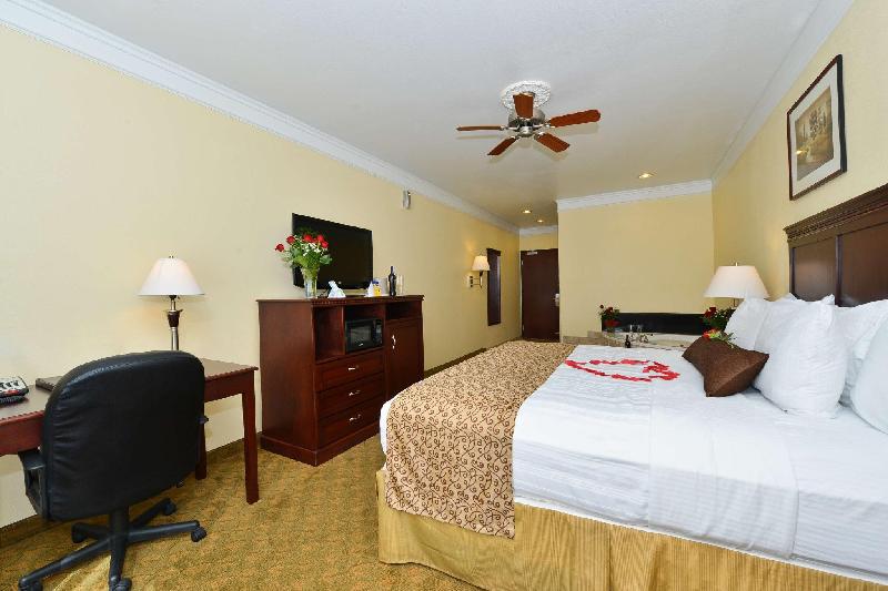 Best Western Lone Star Inn - image 5