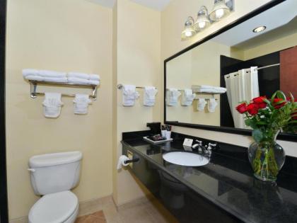Best Western Lone Star Inn - image 7