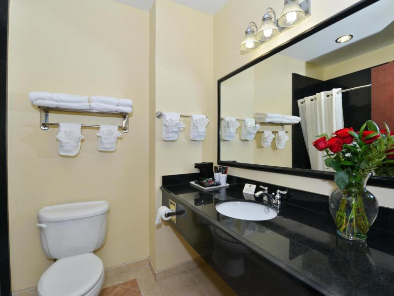 Best Western Lone Star Inn - image 7