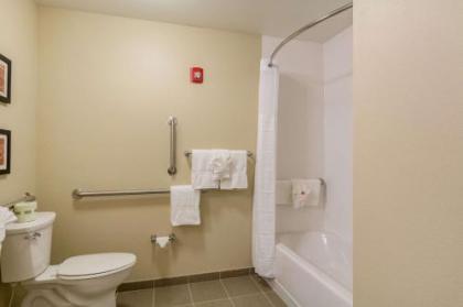 Comfort Inn Edwardsville - St. Louis - image 15