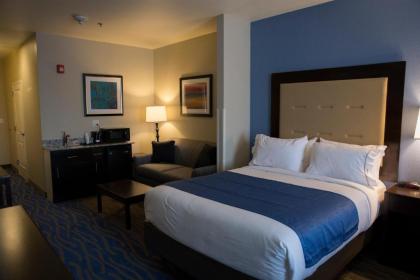 Holiday Inn Express and Suites Edwardsville an IHG Hotel - image 4