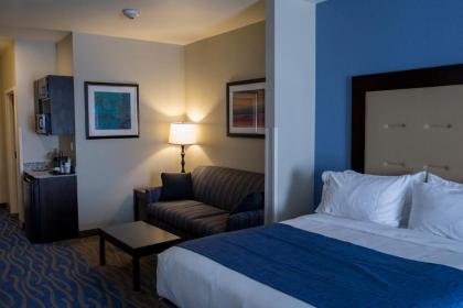 Holiday Inn Express and Suites Edwardsville an IHG Hotel - image 6