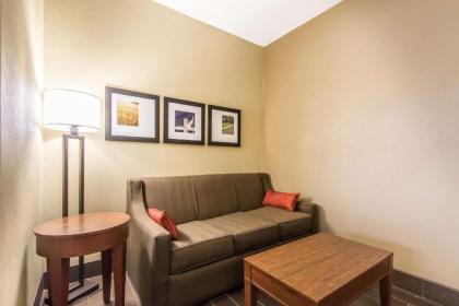 Comfort Suites Effingham - image 15